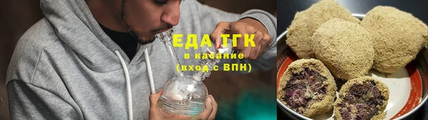 шишки Верея