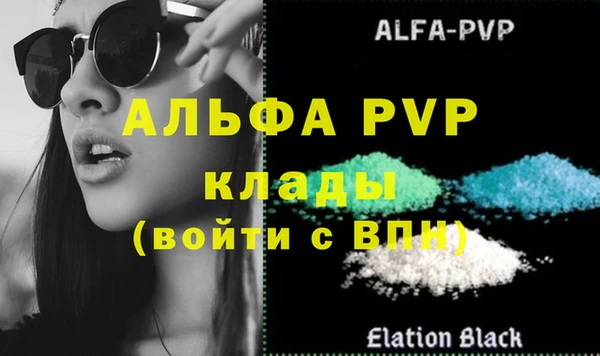 шишки Верея
