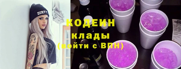 шишки Верея