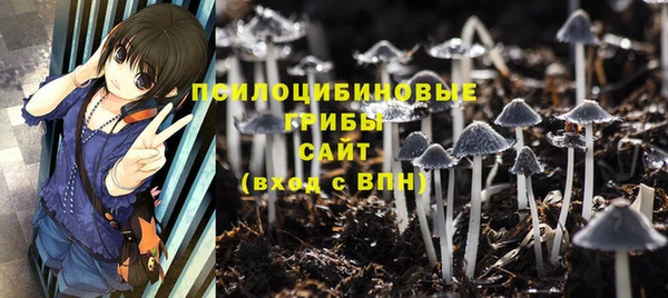 прущая мука Верхний Тагил