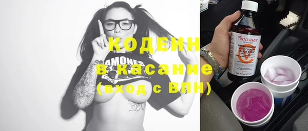 шишки Верея