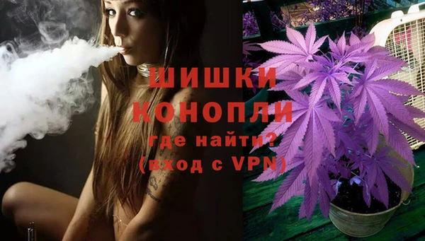 шишки Верея
