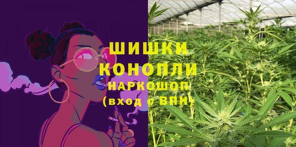 шишки Верея