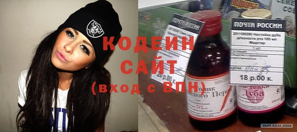 шишки Верея