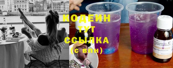 шишки Верея